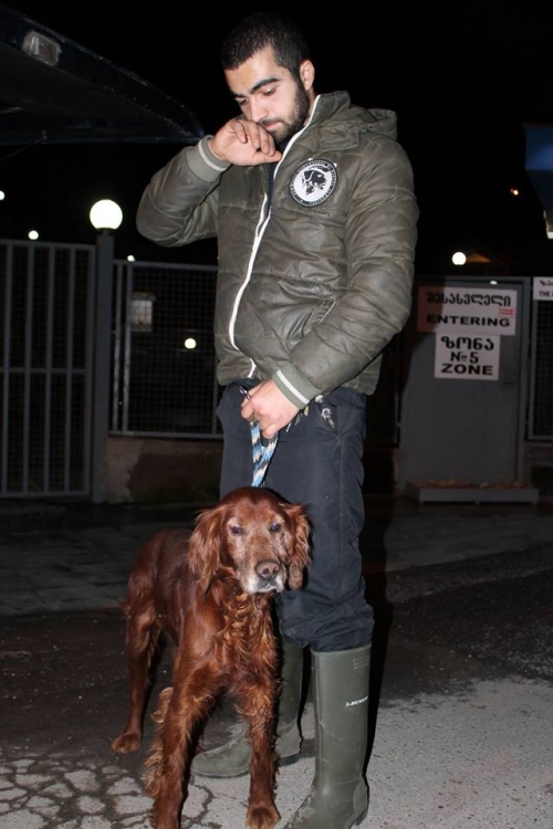 ირლანდიური სეტერი უსახელო