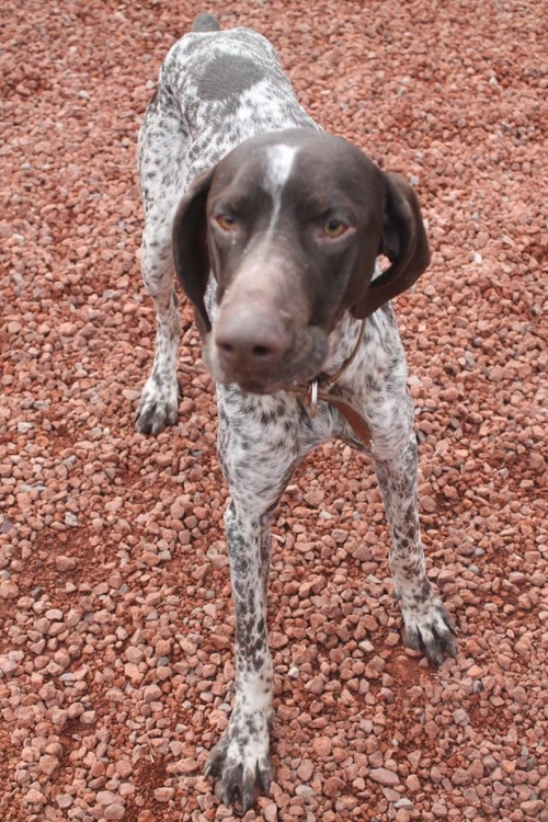 კურცხაარი უსახელო