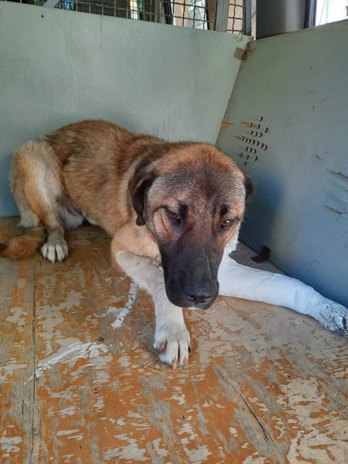 მეტისი კაიროს მე 3 ქუჩა