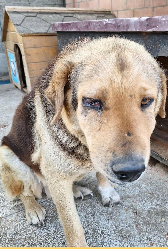 მეტისი. ვარკეთილის მეურნეობა