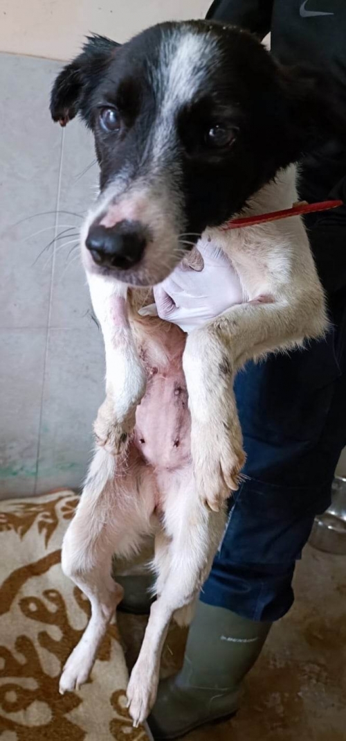 მეტისი ალექსანდრე წულუკიძეს ქუჩა 1