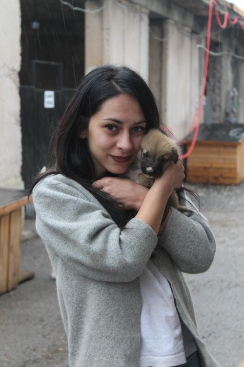 მეტისი უსახელო