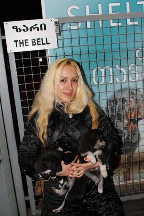 მეტისი უსახელო