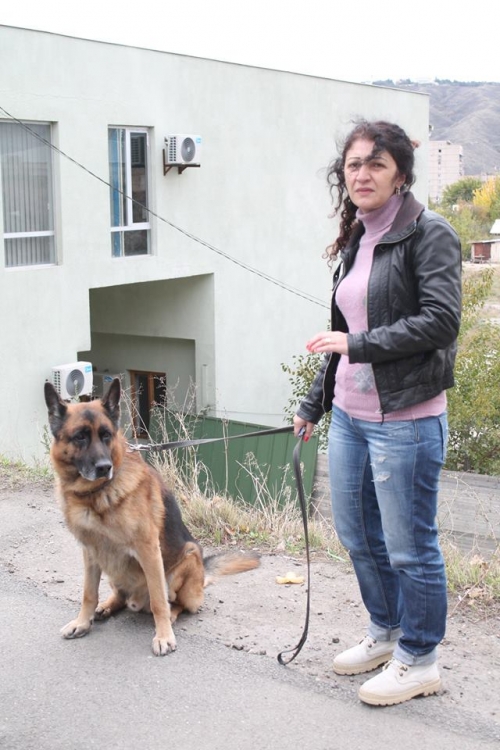 გერმანული ნაგაზი გუგო