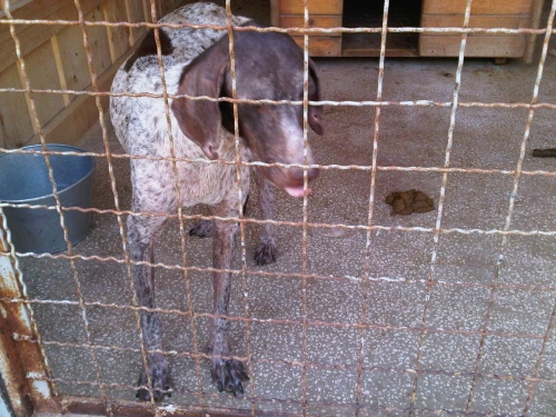 * გარდაცვლილები კურცხაარი