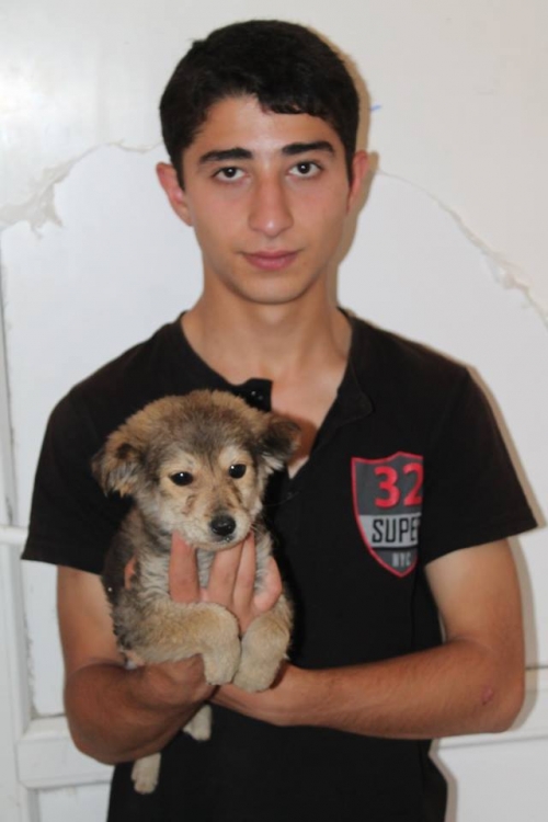 მეტისი უსახელო