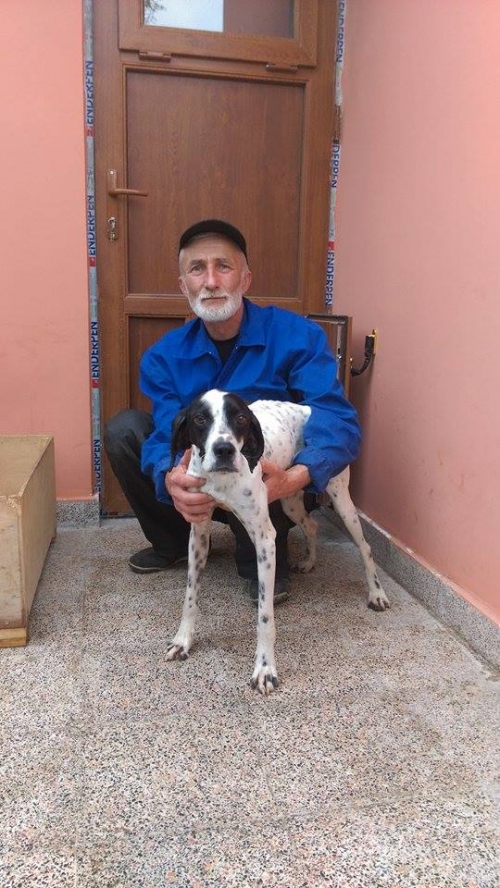 პოინტერი უსახელო