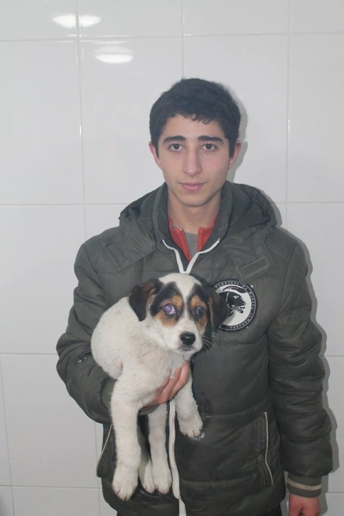 მეტისი უსახელო