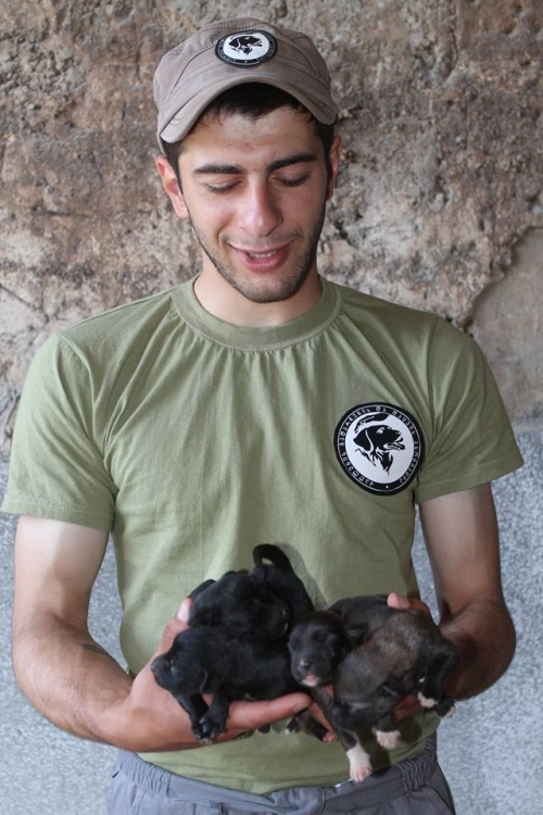 მეტისის ლეკვები უსახელო