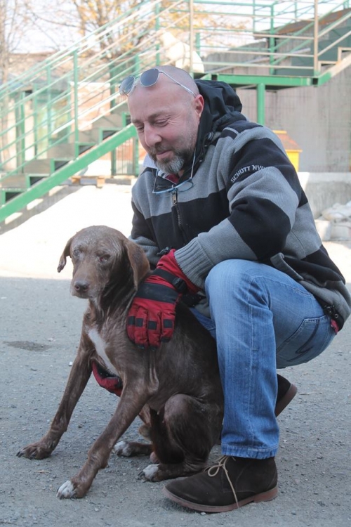 მეტისი ჩიჩო