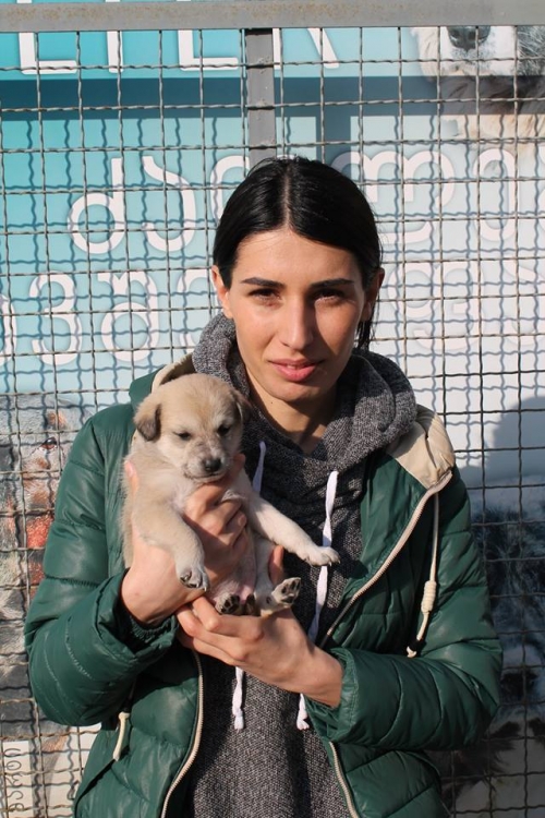 მეტისი უსახელო