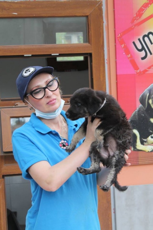 მეტისი უსახელო