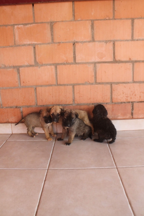 მეტისი უსახელო