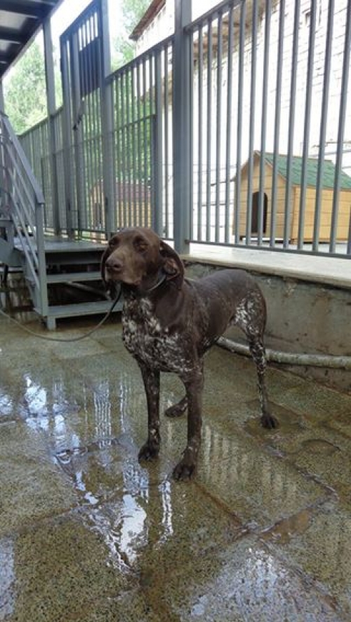 კურცხაარი უსახელო