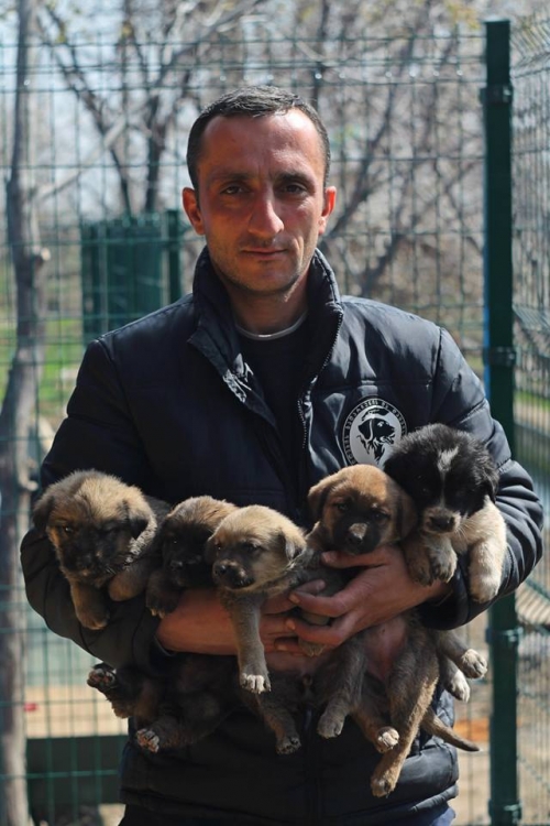 მეტისი უსახელო