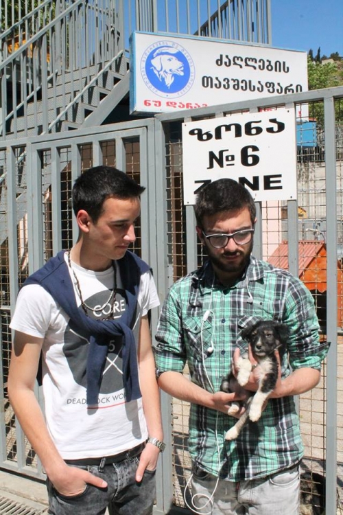 მეტისი უსახელო