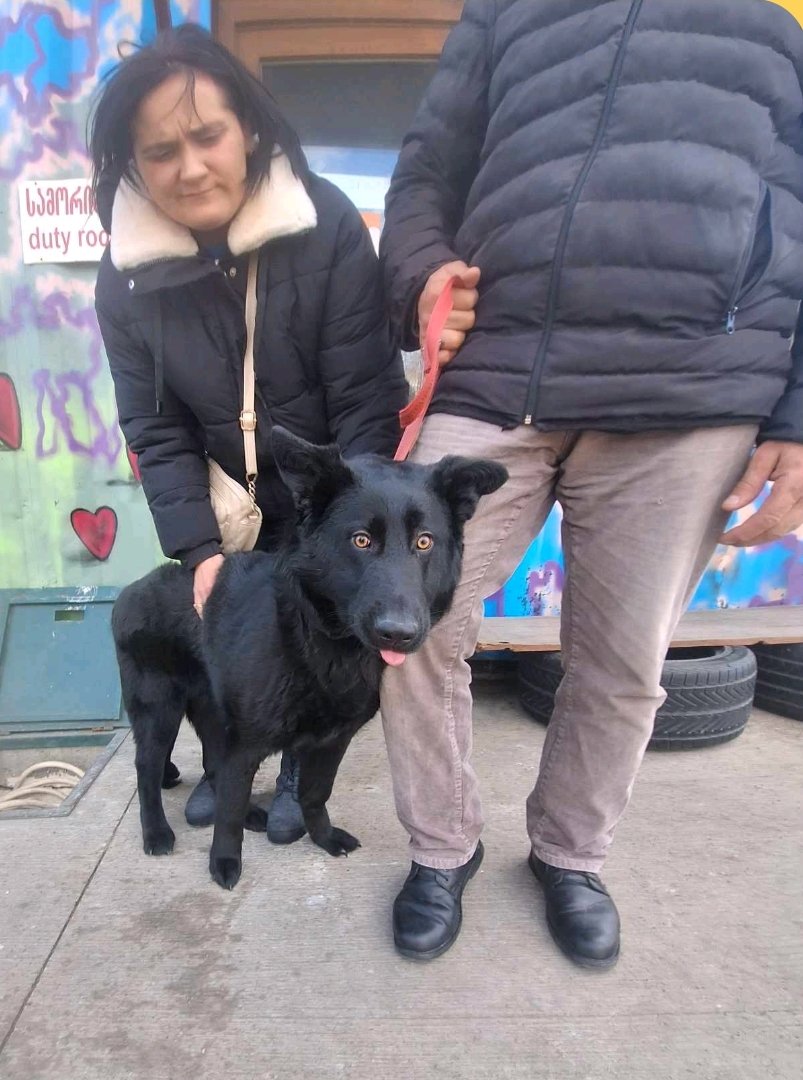 ბრუთოზი