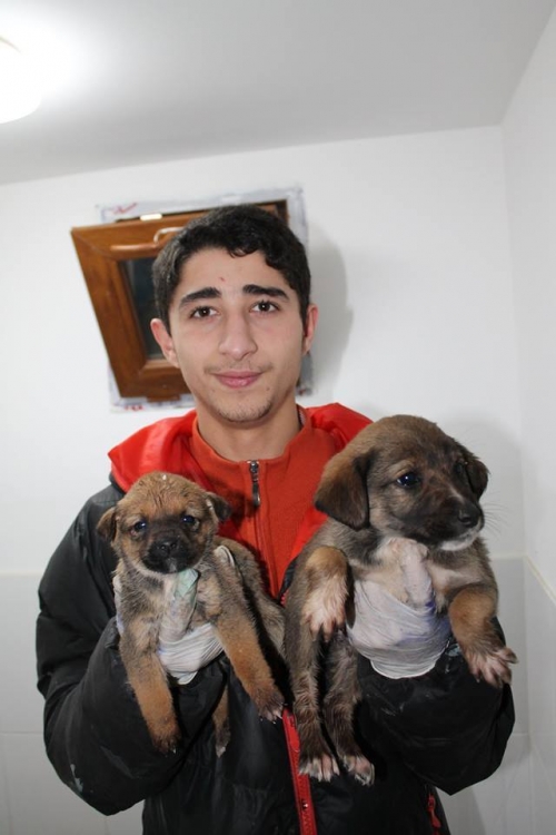 მეტისი უსახელო