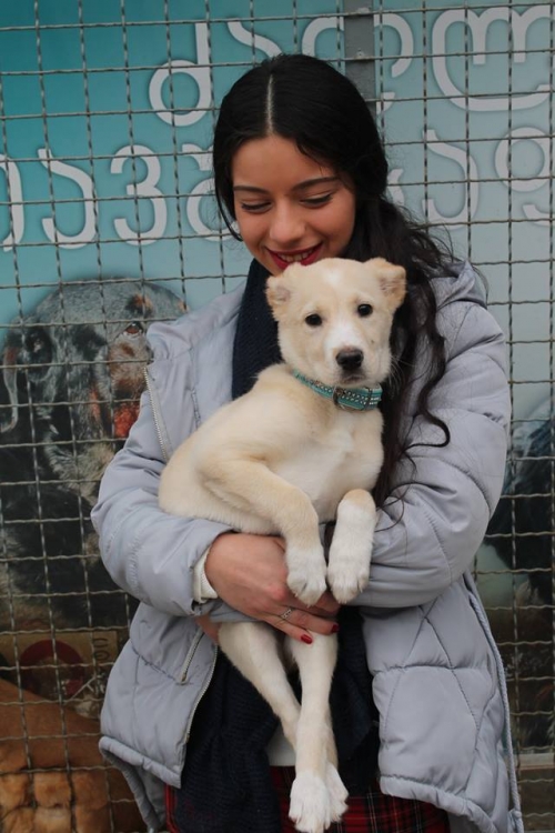 მეტისი უსახელო