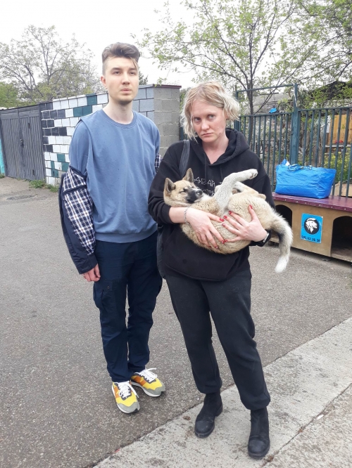 მეტისი ისანი