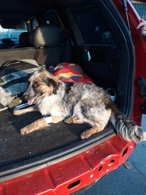 მეტისი ნუცუბიძეს ქუჩა 13 ნომერი