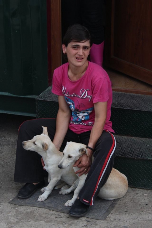 მეტისის ლეკვები უსახელო