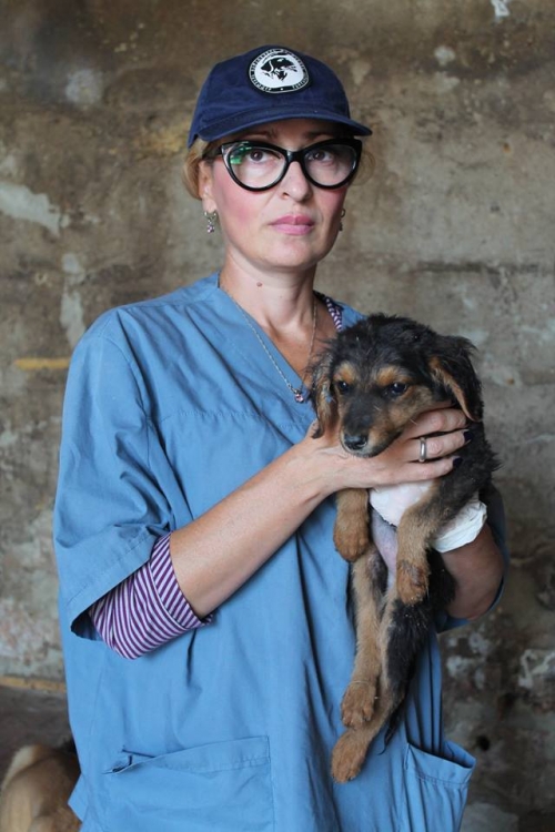 მეტისი უსახელო