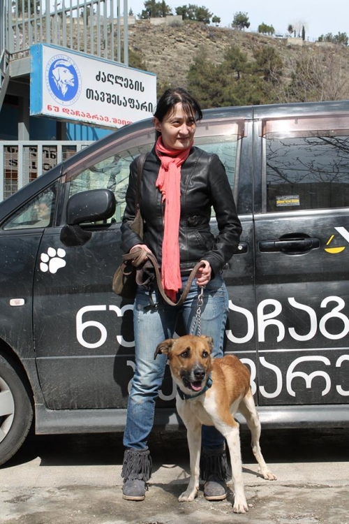 მეტისი ჩაპი