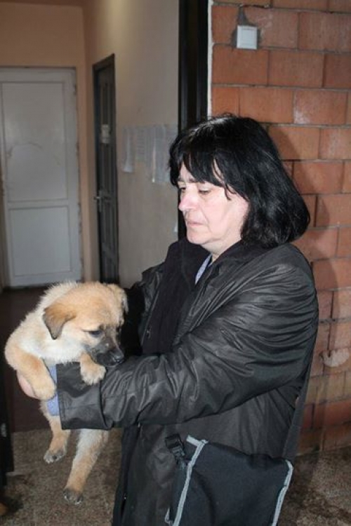 მეტისი უსახელო