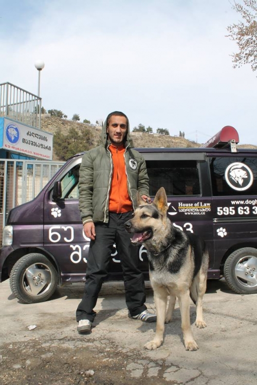 გერმანული ნაგაზი უსახელო