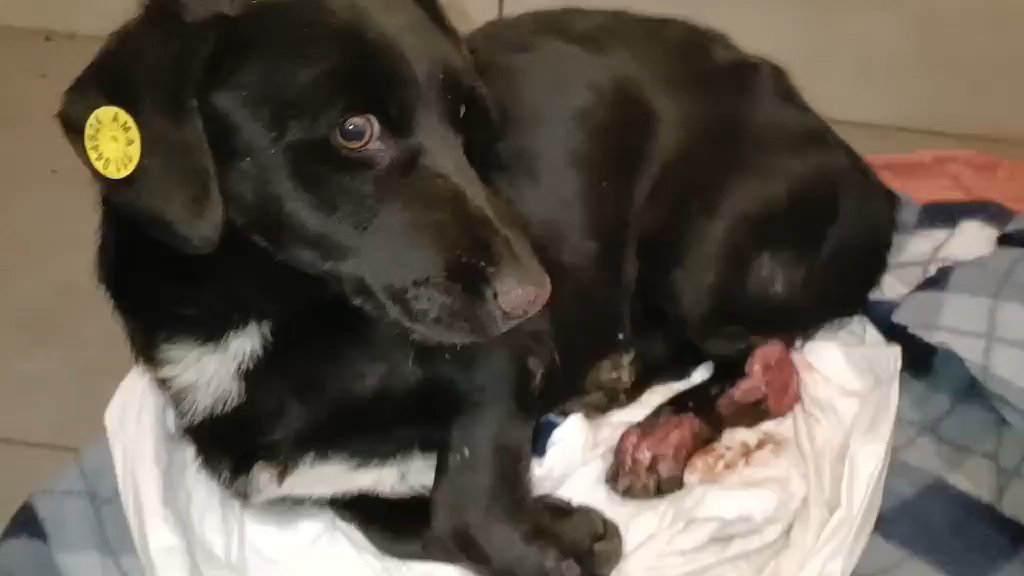 ვაზისუბანი მე-2 მკრ.