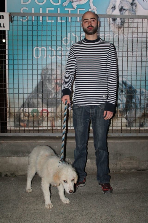 მეტისი უსახელო