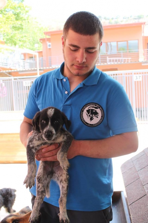 მეტისი უსახელო