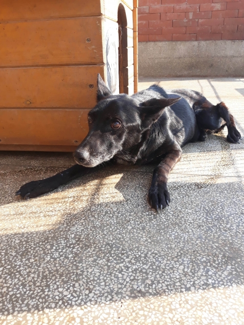 მეტისი უსახელო