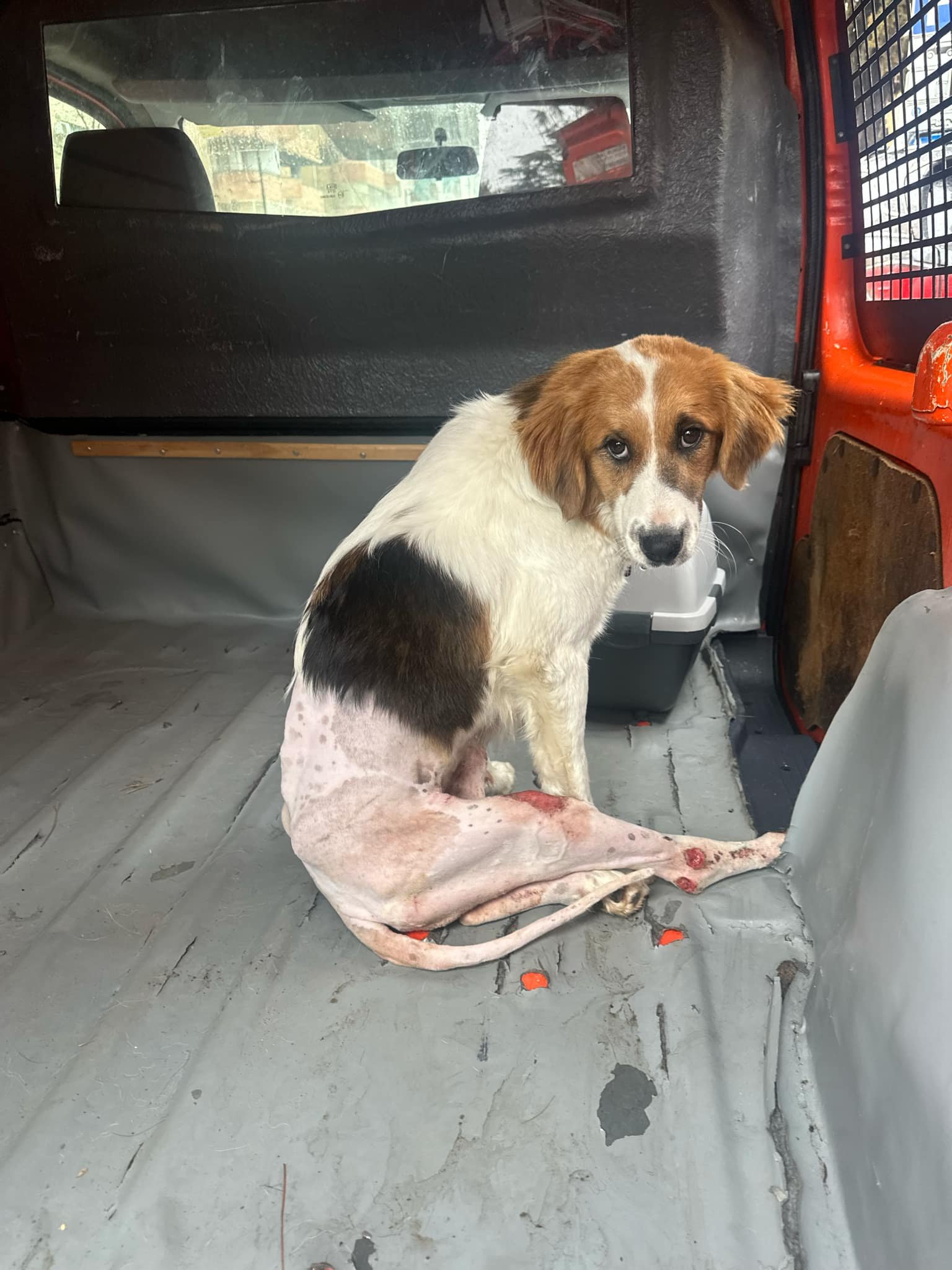 მეტისი. მცხეთა ,,მარანი ჰოლი"