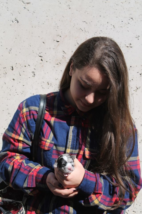 მეტისი უსახელო