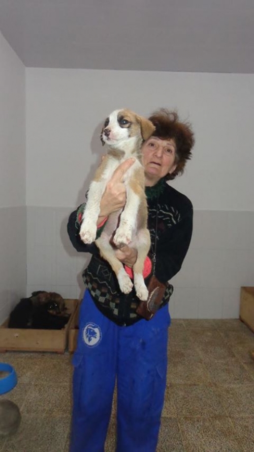 მეტისი უსახელო