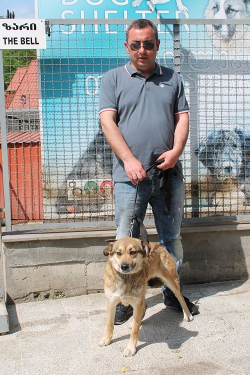 მეტისი მუხტარა