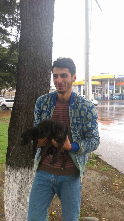 პოინტერის მეტისი უსახელო