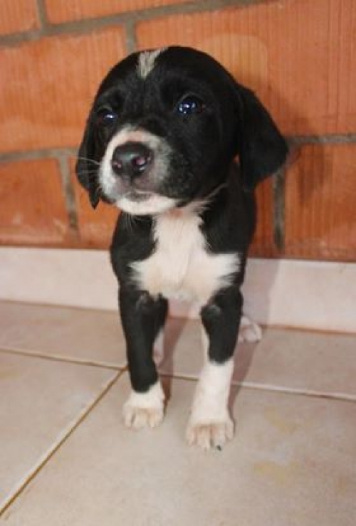 მეტისი უსახელო