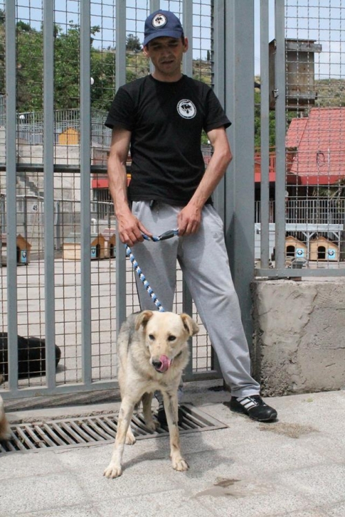 მეტისი უსახელო