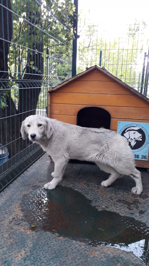 მეტისი უსახელო