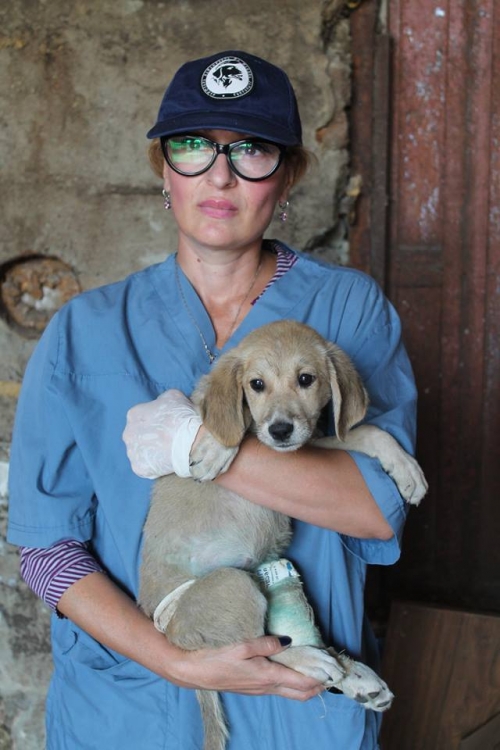 მეტისი უსახელო