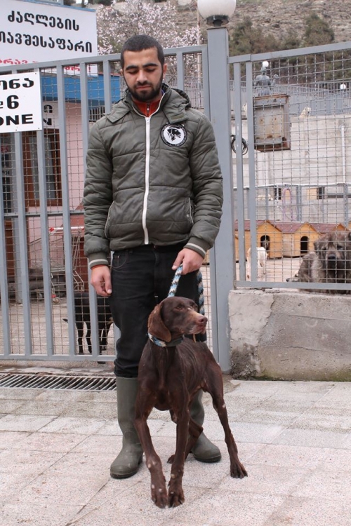 კურცხაარი უსახელო