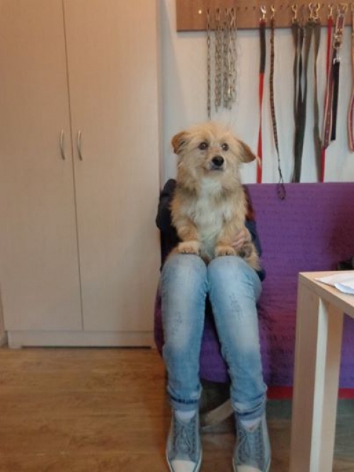 ბალონკა უსახელო