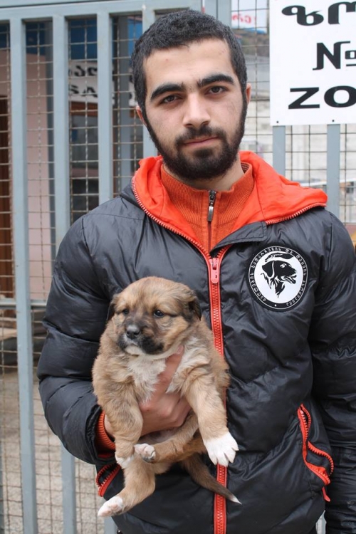 მეტისი უსახელო