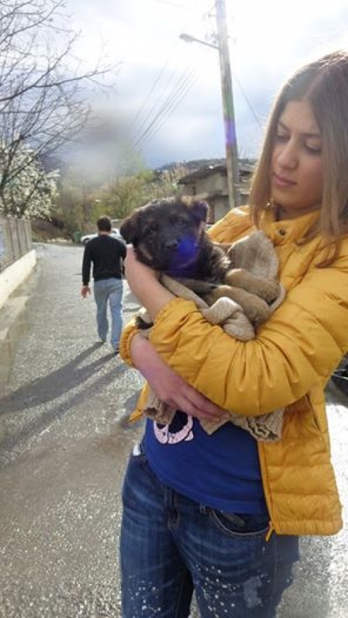 მეტისი უსახელო