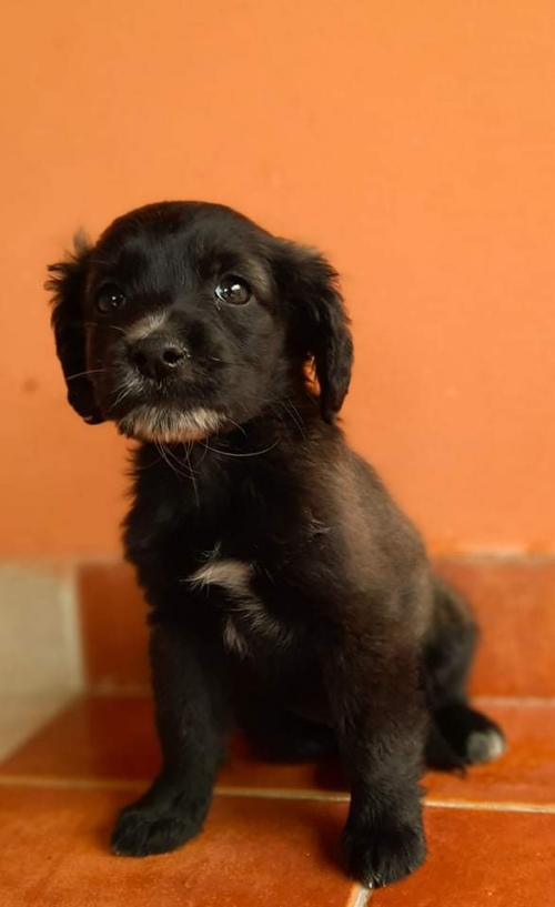 მეტისი აეროპორტის გზაზე ნაპოვნი