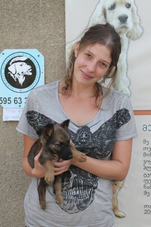 გერმანული ნაგაზის მეტისი უსახელო