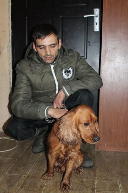 ინგლისური კოკერსპანელი უსახელო